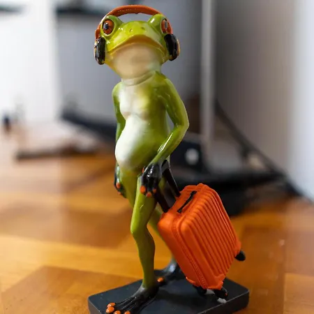 Confortable T2 De 50 M2 Avec Parking Prive Apartamento